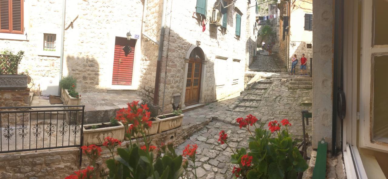 Apartment Ozana Kotor Dış mekan fotoğraf