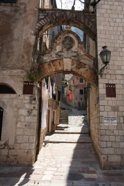 Apartment Ozana Kotor Dış mekan fotoğraf